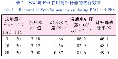 表1PAC与PFS联用对针杆藻的去除效果