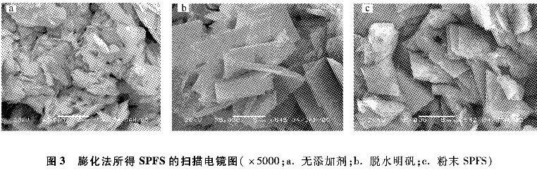 图3 膨化法所得雷竞技网页版首页
的扫描电镜图